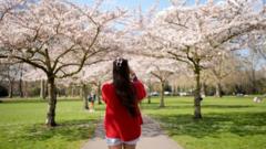 Spring equinox is UK's warmest day of year so far