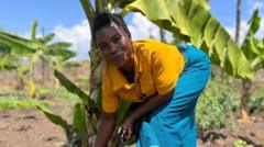 Le vin de banane apporte le goût sucré du succès aux agriculteurs du Malawi