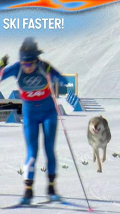 Local wolfdog wanders onto cross-country ski course mid-race