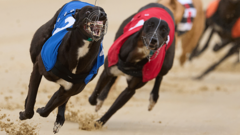 Greyhound racing ban legal challenge rejected