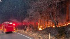 Thousands evacuated as Japan's biggest fire in decades continues to burn