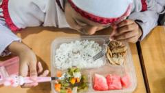 More than 300 ill in Indonesia after eating free school lunches