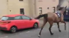 Startled racehorse gallops down Scottish high street