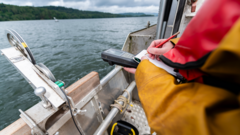 Windermere 'heating up' with 1.5C rise in 80 years