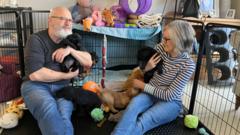 Family raises puppies to become assistance dogs