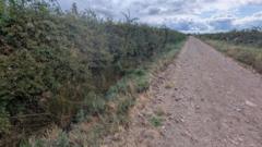 Appeal as dead dog found in 'suspicious' circumstances