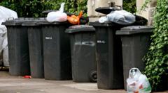Bin collection changes in 'extreme temperatures'