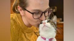 'Why did the driver who killed my cat not stop?'