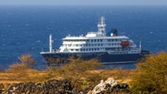 Second hantavirus case confirmed after three die in suspected cruise ship outbreak