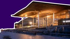 What does the Senedd do?