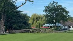 Person in hospital after tree fall at bowls green