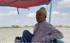 Maanguddoo sagalee fakkeessan