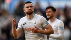 Swansea would only sell Vipotnik for 'proper money'