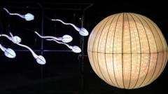 Estruturas iluminadas em formato de espermatozoides e óvulo