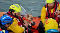 Man and dog rescued after medical emergency on grounded boat