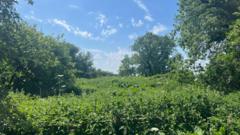 Council threatens to seize land for travellers