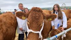 Cornish agricultural show returns after three years