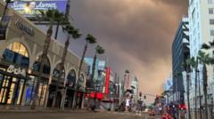 What it's like inside LA's real life apocalypse movie