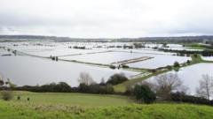 How national park status could affect Somerset Levels