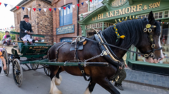 Victorian town attraction to reopen