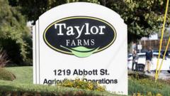 Taylor Farms recalls jalapeno products after salmonella outbreak