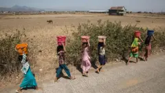 Six women walk along a road carrying buckets of water on their heads, with dry-looking ground, animals and a building in the background.