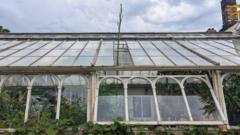 Giant agave bursts through glasshouse roof
