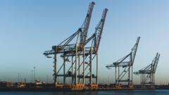 Failed asylum seeker died during docks escape bid