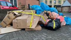 Drivers could get licence points for fly-tipping