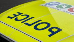 Man arrested after two girls sexually assaulted