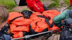 Dog rescued from Ben Nevis suspected to have eaten discarded cannabis