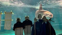 Lonely sunfish in Japan gets cardboard human friends