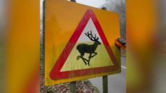 Social media sign cleaning star hits Essex streets