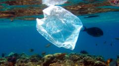 Can Banning Plastic Bags Really Reduce Shoreline Litter in the US?