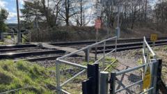 Woman killed by train despite horn warning
