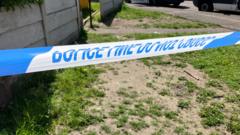 Boy, 17, charged after three stabbed in village