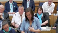 'I don't understand' - council meeting descends into chaos
