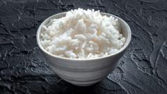 Comment le changement climatique pourrait affecter l'arsenic dans le riz