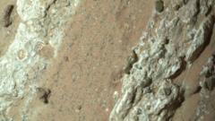 A close up image of a rock with spots and flecked marks on