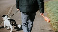 Council rules out DNA testing to catch dog fouling culprits