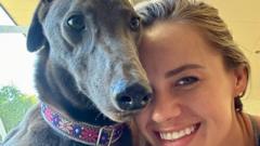 Greyhound who refuses to race finds Stateside home