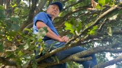 Why Did a Banned Fan Cheer for a Non-League Team from a Tree?