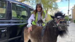 'He's a life saver': The miniature therapy horse that travels by taxi