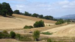 Wildfires and record dry conditions trigger drought in parts of Wales