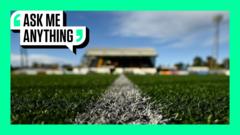Why are artificial football pitches unpopular?