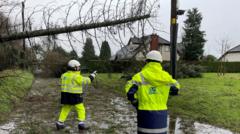 Way to go yet in Storm Éowyn clean-up - NI secretary