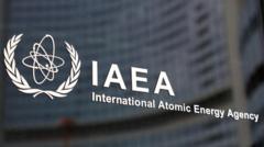 IAEA logosu