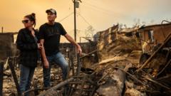 What's the latest on the wildfires and what caused them?