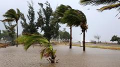 Three dead as 'brutal' cyclone sweeps through Reunion