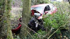 CCTV shows suspected drink-driver smash into tree